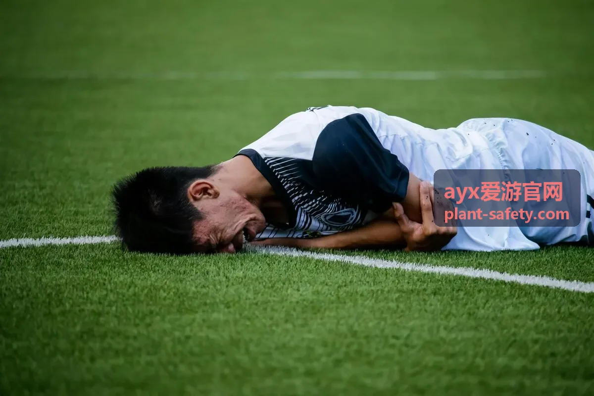 专家在线答疑栏目封面，ayx爱游官网专家问答现场